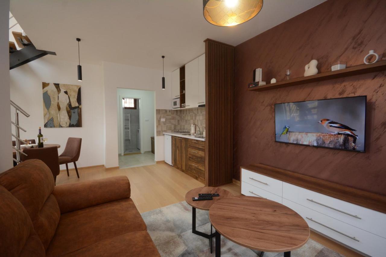 Vrnjačka BanjaCrown House公寓式酒店 外观 照片